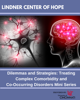 Dilemmas and Strategies: Treating Complex Comorbidity and Co-Occurring Disorders Banner